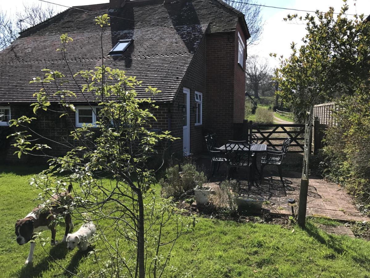 Godshill Park Cottages Exterior foto